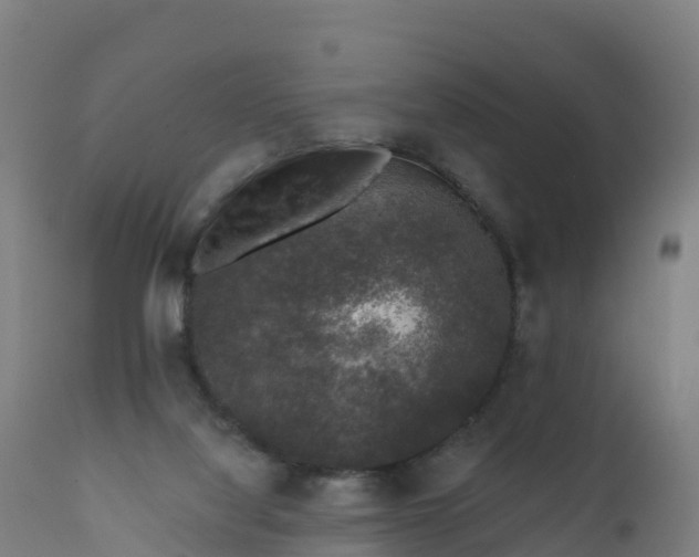 X0000112420068200908281848