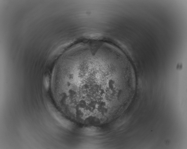 X0000112420069200908281848