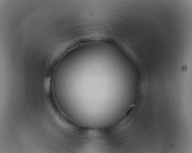 X0000112420070200908281848