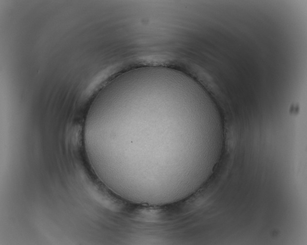 X0000112420071200908281848