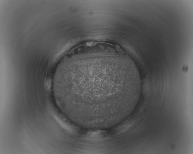 X0000112420072200908281848