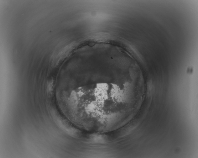 X0000112420073200908281848