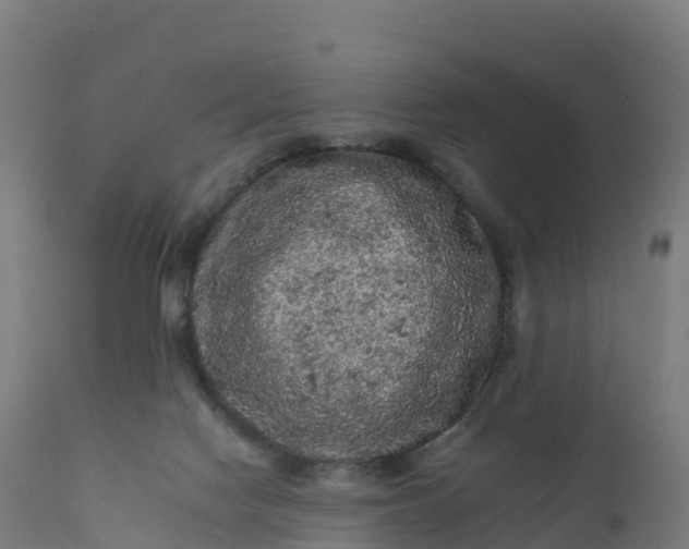 X0000112420074200908281848