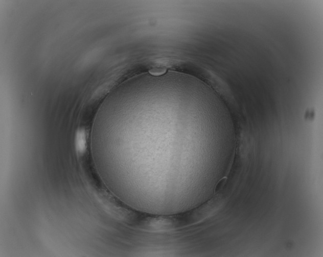 X0000112420075200908281848