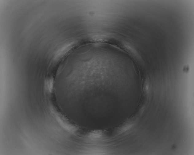 X0000112420076200908281848