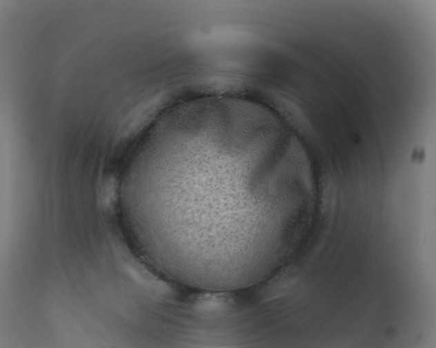 X0000112420077200908281848