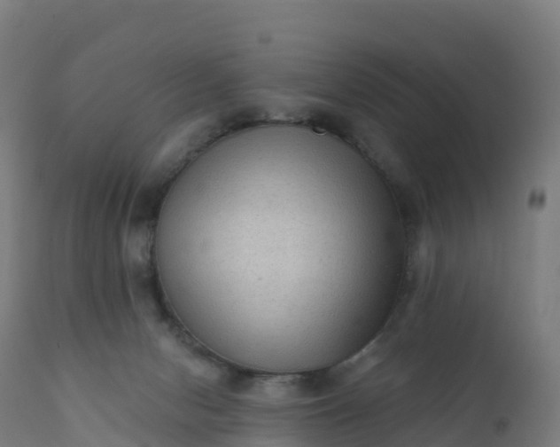 X0000112420078200908281848