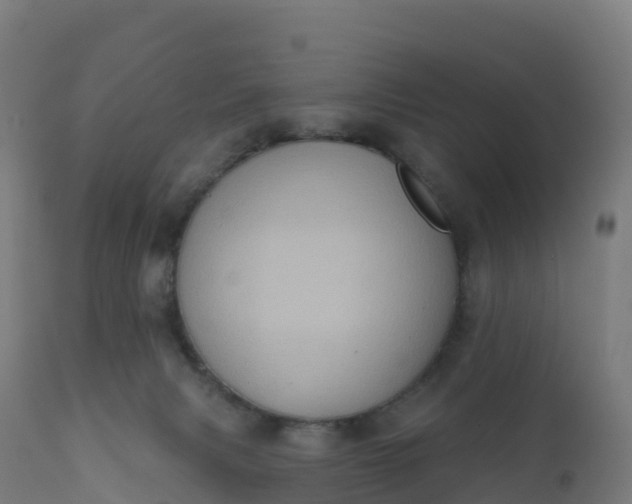 X0000112420079200908281848