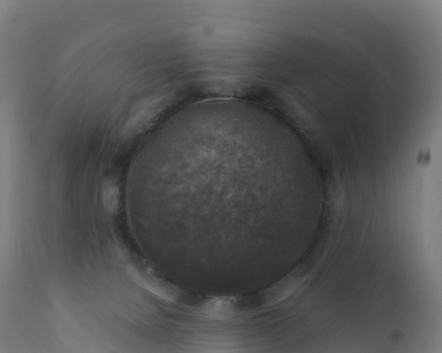 X0000112420080200908281848