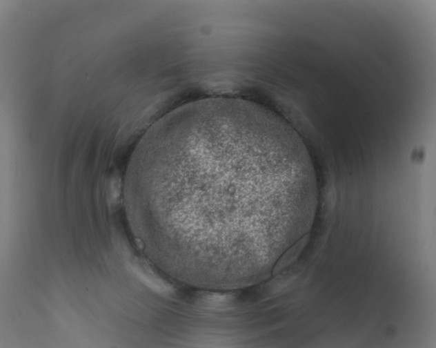 X0000112420081200908281848