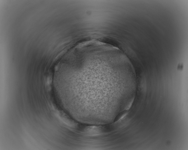 X0000112420082200908281848