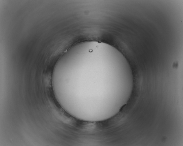 X0000112420083200908281848