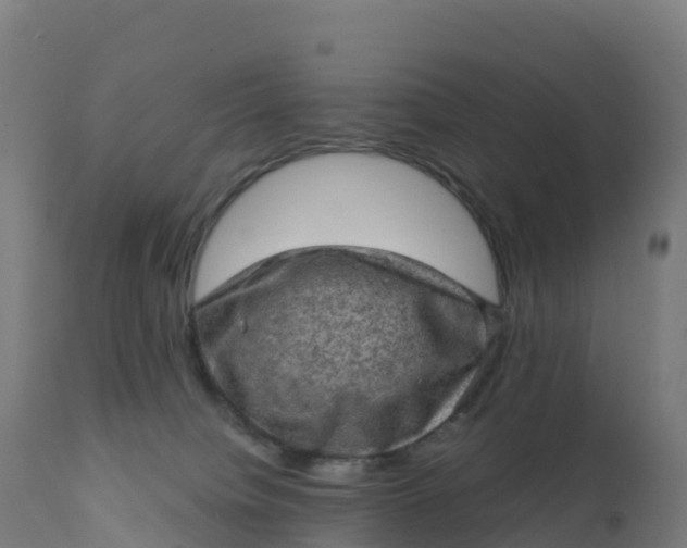 X0000112420084200908281848