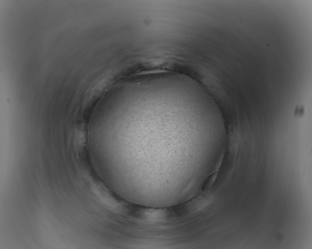 X0000112420085200908281848