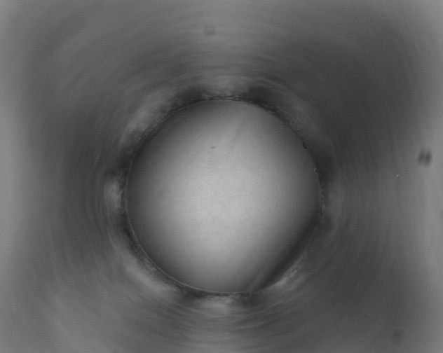 X0000112420086200908281848