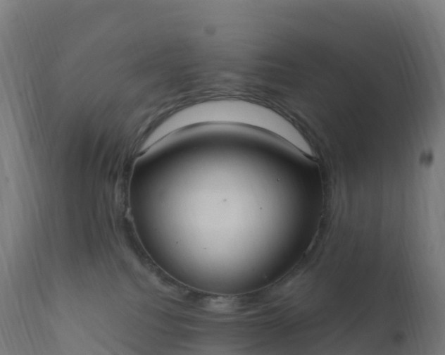 X0000112420088200908281849