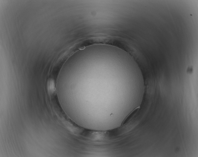 X0000112420089200908281849