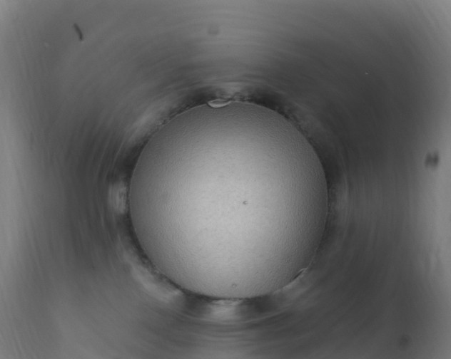 X0000112420090200908281849