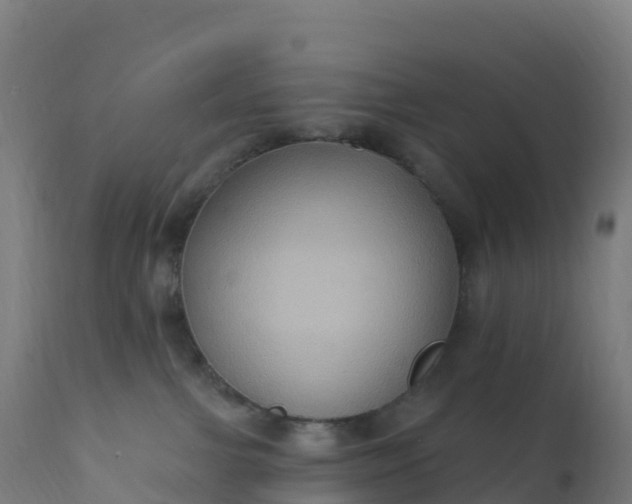 X0000112420091200908281849