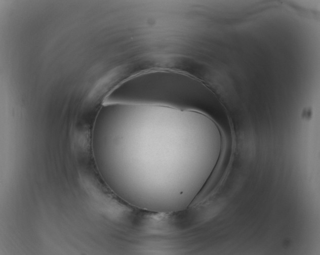 X0000112420092200908281849