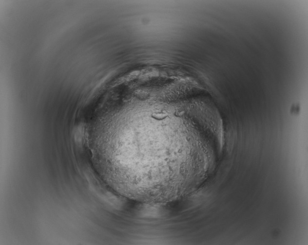 X0000112420093200908281849