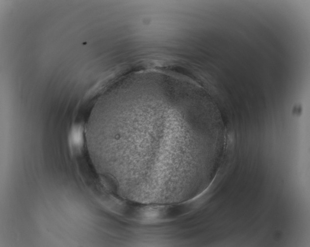 X0000112420094200908281849