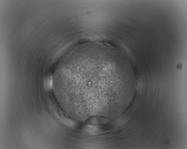 X0000112420095200908281849