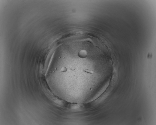 X0000112420096200908281849