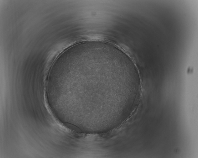 X0000112420097200908281848