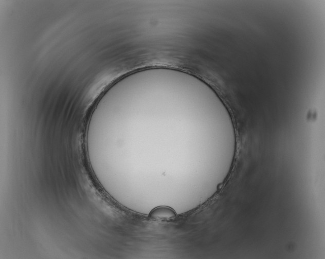 X0000112420098200908281848