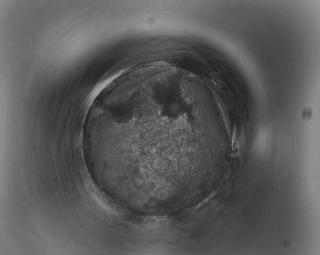 X0000112420099200908281848