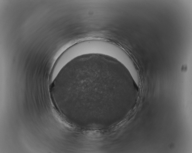 X0000112420100200908281848