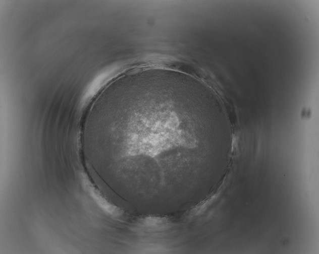 X0000112420101200908281848