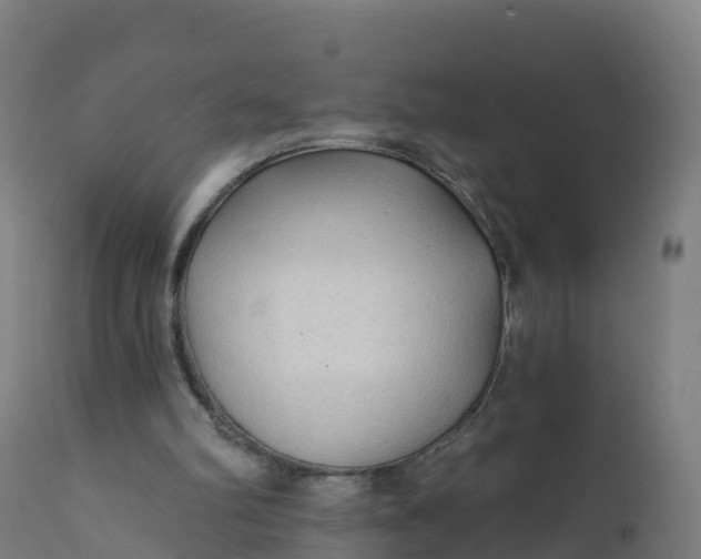 X0000112420102200908281848