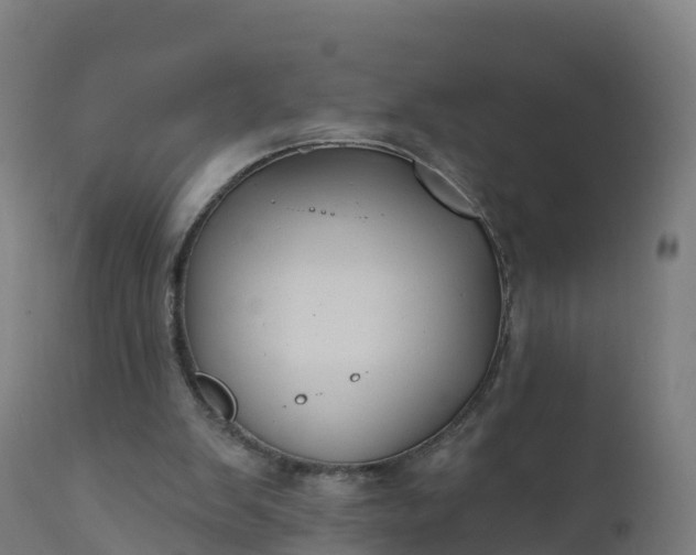 X0000112420103200908281848