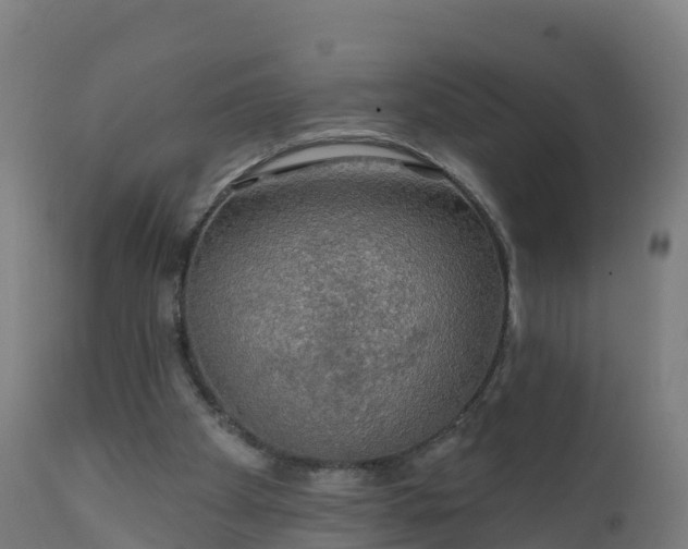 X0000112420105200908281848