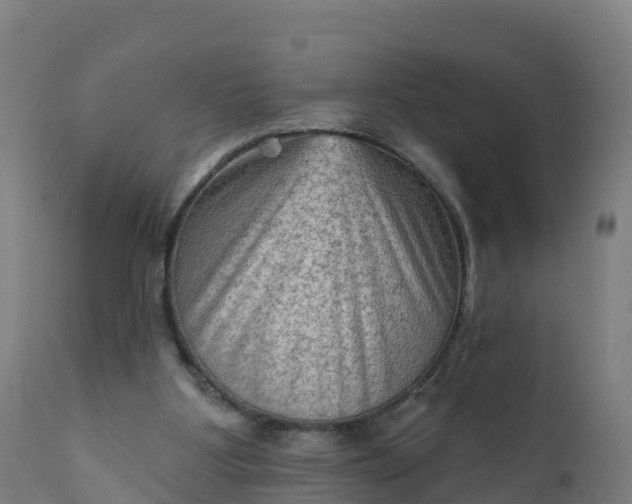 X0000112420107200908281847