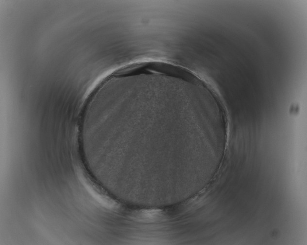 X0000112420108200908281847