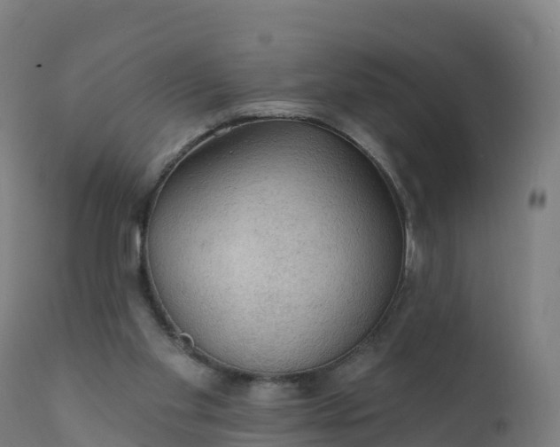 X0000112420109200908281847