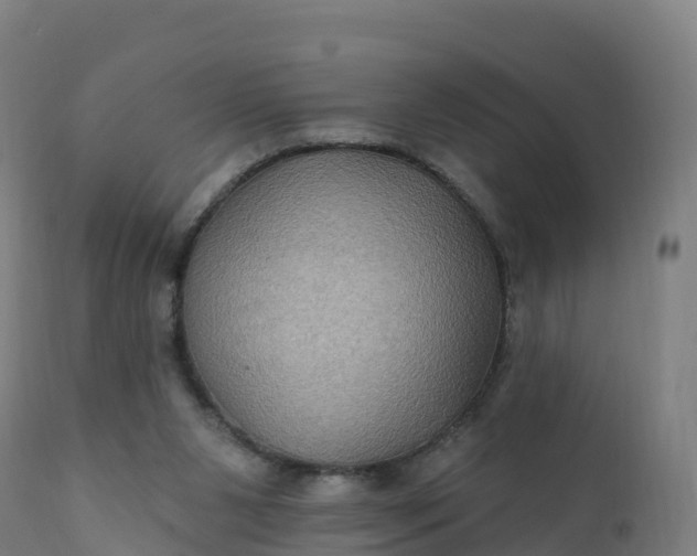 X0000112420111200908281847