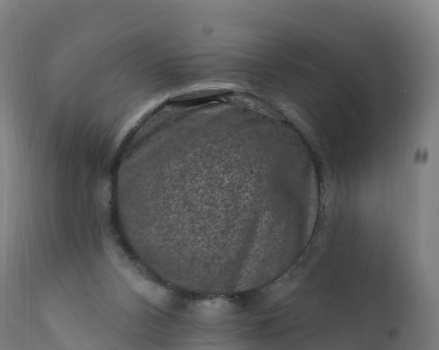 X0000112420112200908281847