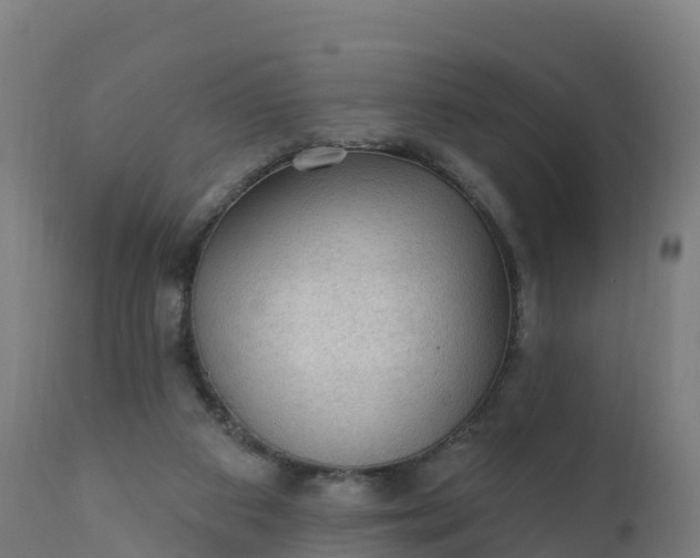 X0000112420113200908281847