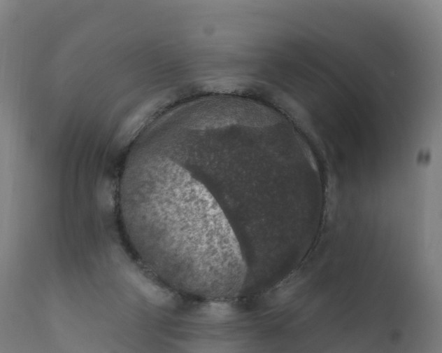 X0000112420114200908281847