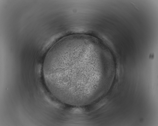 X0000112420115200908281847