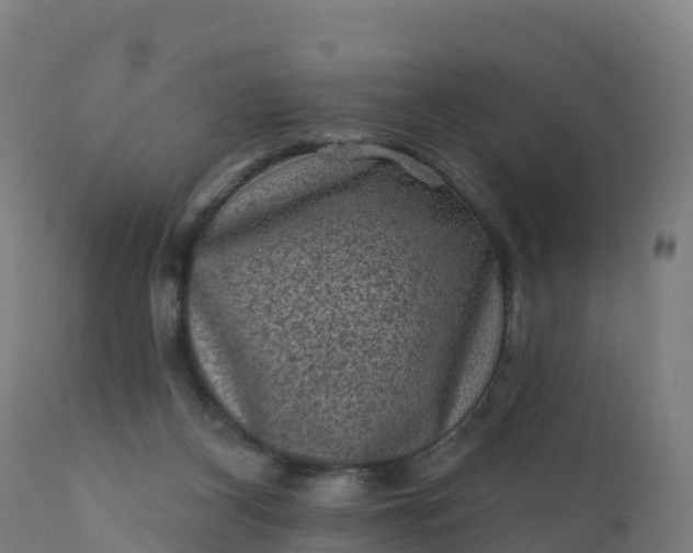 X0000112420116200908281847