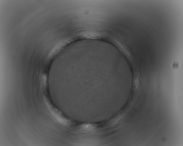 X0000112420117200908281847