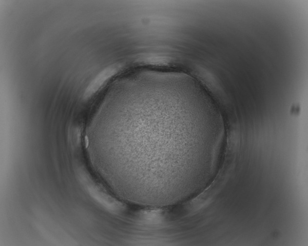 X0000112420120200908281847