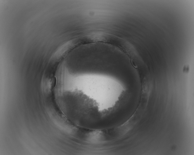 X0000112420124200908281847