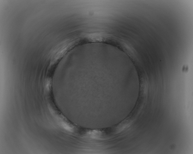 X0000112420125200908281847