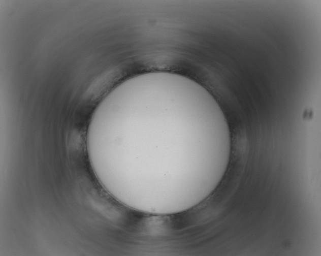 X0000112420126200908281847